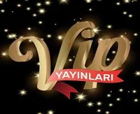 VİP Yayınları logosu
